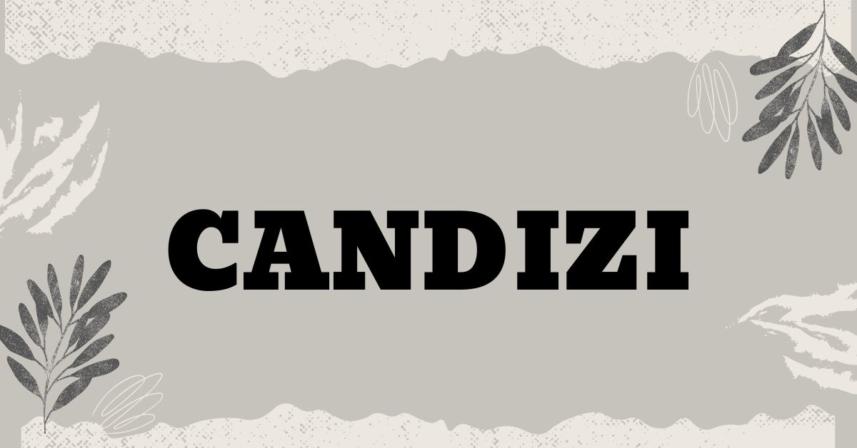 Candizi